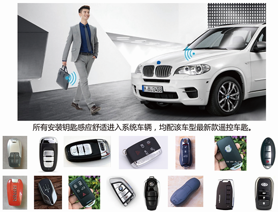 Keyless Entry Comfort Access Seven Smart Auto