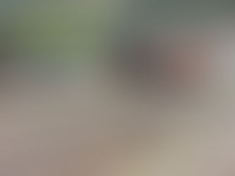 El tren más difícil del mundo