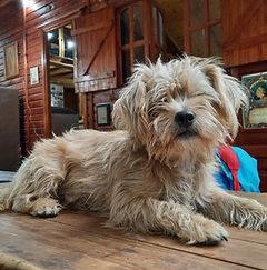 WhatsApp Image 2025-11-17 at 18.58.38.jpeg