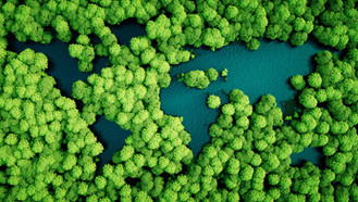 A Day to Focus Upon Protecting Our Environment