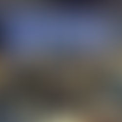 Trinity Crowns Four State Champions, Captures 3A Individual Team State Title