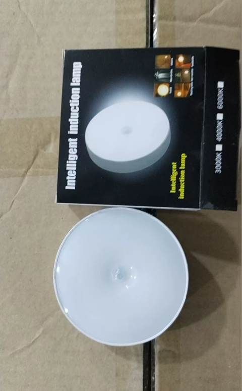 Thumbnail: USB Rechargeable Motion Sensor LED Light