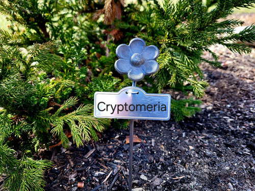 Plant ID Markers | Dirt Frog Furniture