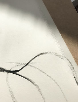 Rosalie watkins artist drawings