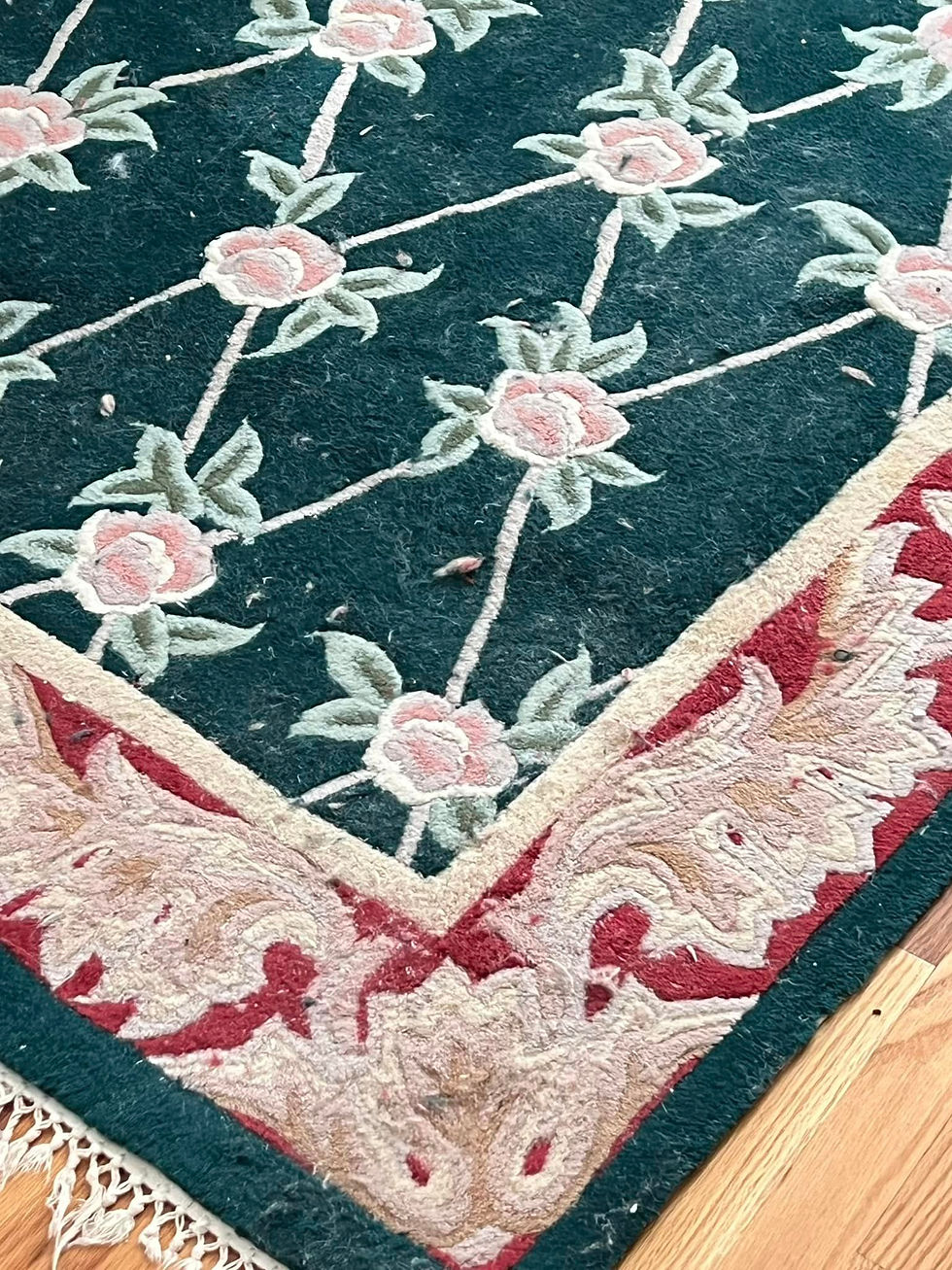 Cat Hairs everywhere - Time for our experts to do their part