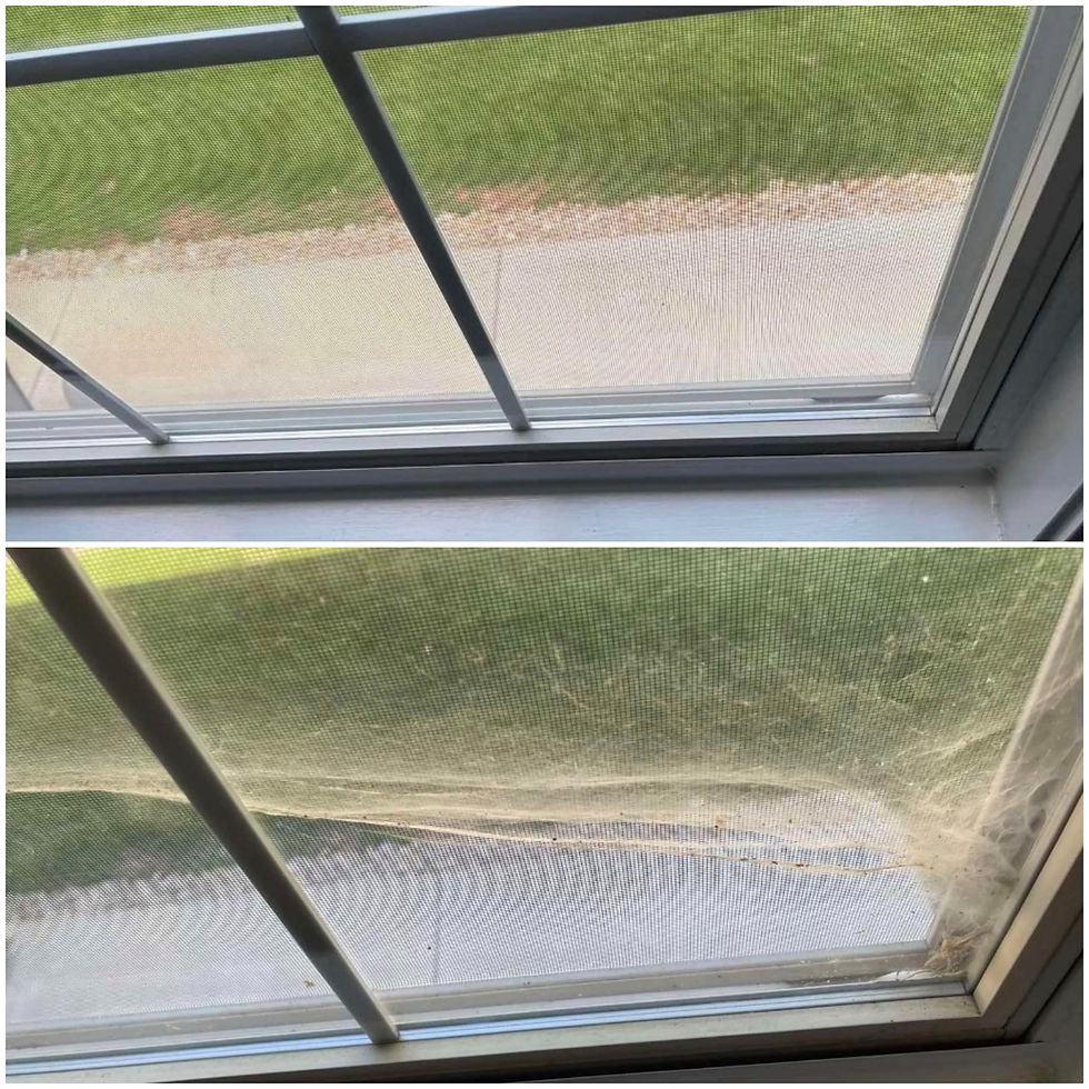 picture of the clean windows