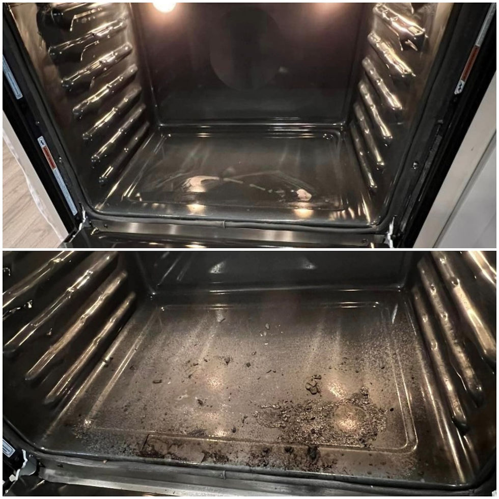 picture of the clean oven interior