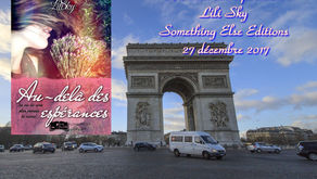 Au-delà des espérances de Lily Sky
