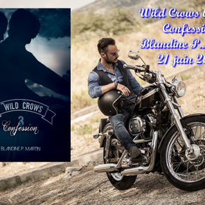 Wild Crows tome 3: Confession de Blandine P.Martin