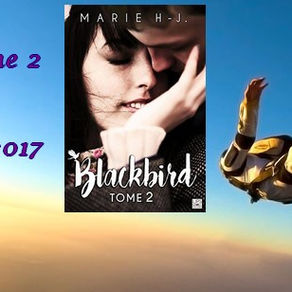 Blackbird tome 2 de Marie HJ