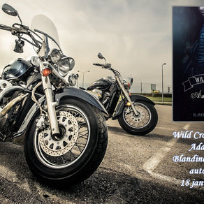 Wild Crows tome 1: addiction de Blandine P.Martin