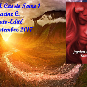 Jayden & Cassie tome 1 de Carine C.