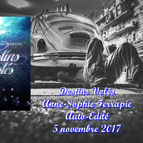 Destins volés de Anne-Sophie Ferrapie