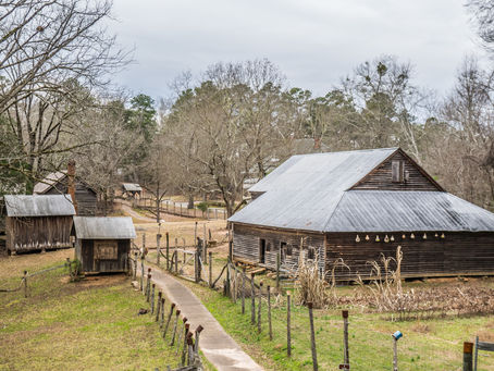 Photo of the week: November 11, 2019