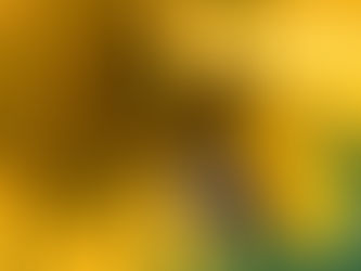 Photo of the week: September 9, 2019