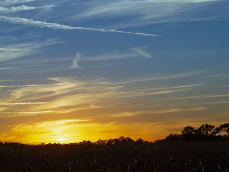 Photo of the week: December 2, 2019