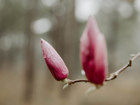 Photo of the week: March 7, 2022