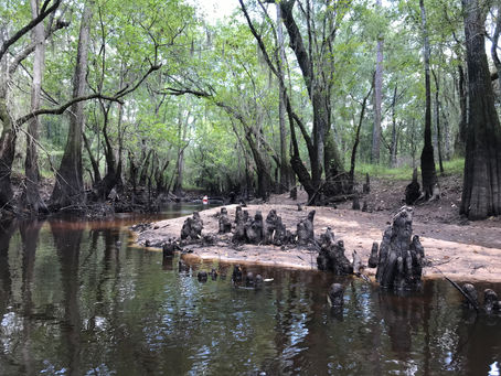 Photo of the week: April 8, 2019