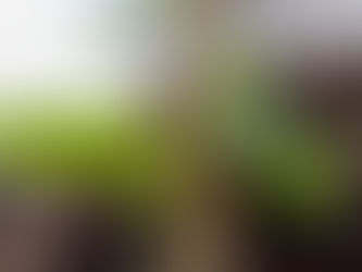 Photo of the week: June 28, 2021