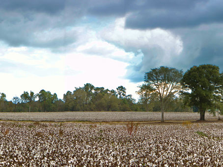 Photo of the week: October 21, 2019