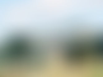 Photo of the week: November 2, 2020