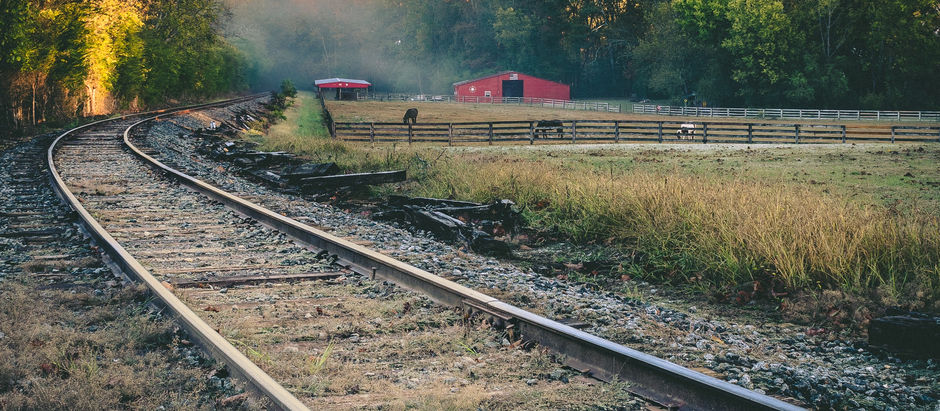 Photo of the week: November 30, 2020