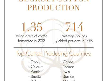 King cotton is growing in Georgia