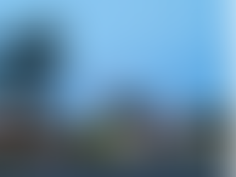 Photo of the week: July 1, 2019