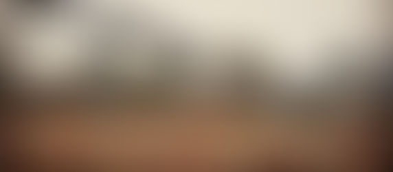 Photo of the week: February 1, 2021