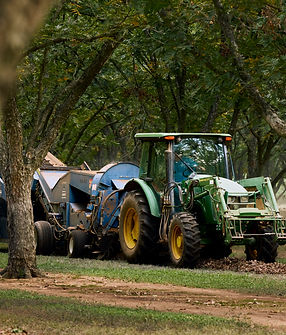 Copy of ST_APB_Library-Orchard_202_HR.JPG
