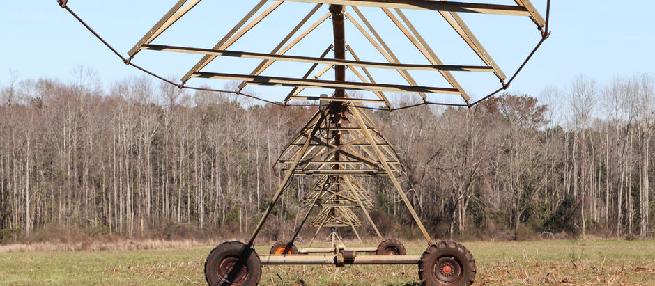 Photo of the week: March 1, 2021