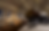 Screenshot 2026-04-14 at 3.52.17 PM.png