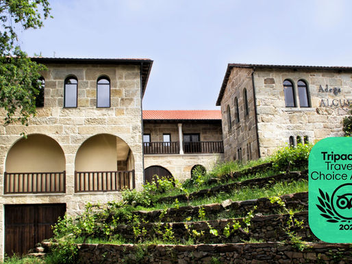 Insignia del premio Travelers’ Choice 2025 de Tripadvisor en Bodega Algueira, Ribeira Sacra.