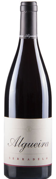 Serradelo 100% Brancellao. Spanish wine from Galicia. Bodega Algueira en Ribeira Sacra.