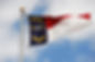 nc state flag.jpeg