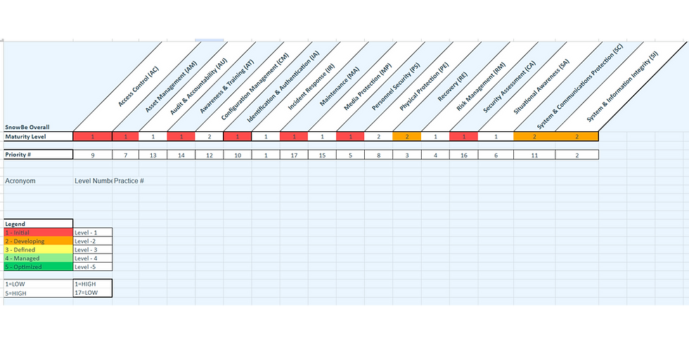 SnowBe Maturity Model Preview