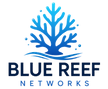 BRN Logo 2026_transparent.png