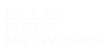 BRN Logo_White Text Only.png