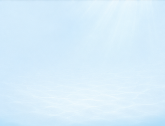 What We Optimize Page Background_6 Areas.png