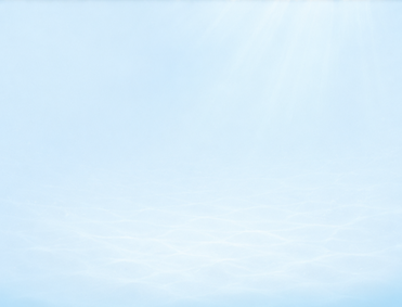 What We Optimize Page Background_6 Areas.png