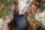 Cachoeira do Buracão