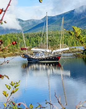 A sailboat moored in a lagoon in Ucluelet