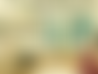 Elevate Your Space: Why Choose NPB Design Studio