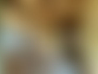 『うつろいの家』もうすぐ完成