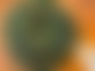 突然届いたプレゼント