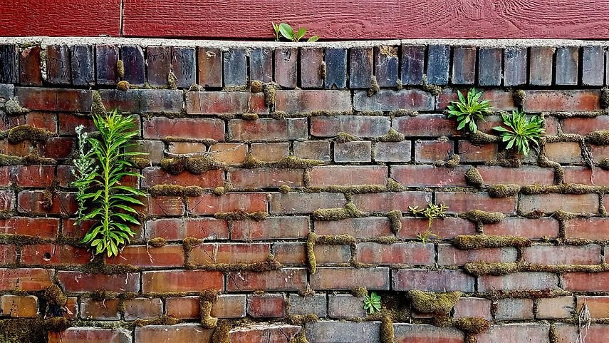 20170627_114017.jpg