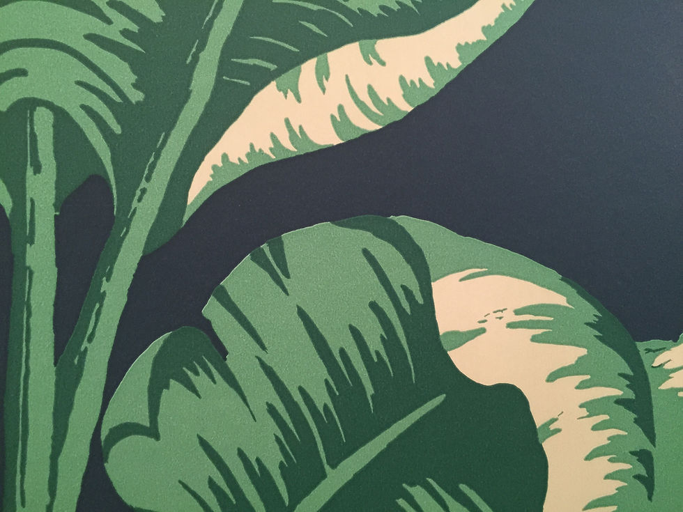 CARTA DA PARATI LA HAVANE