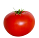 pnghost_tomato-juice-plum-tomato-cherry-tomato-bush-tomato-fresh-tomato.png