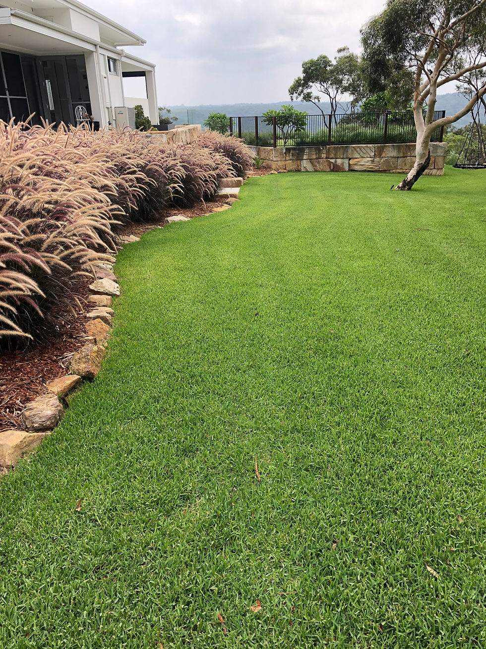 Manicured lawn showing complete care for outdoor spaces