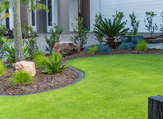 Comprehensive outdoor care solutions for a manicured lawn.